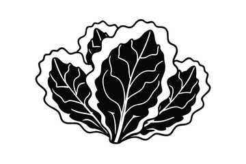 Collard Greens Flat Style No Text