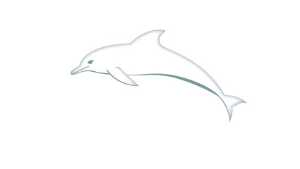 Obraz premium dolphin isolated on white background, HD and 4K image