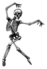 human skeleton in dynamic dancing pose isolated hand drawn sketch fluid movement halloween card design element line art detailed vector illustration