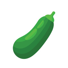 Zucchini flat vector illustration on white background