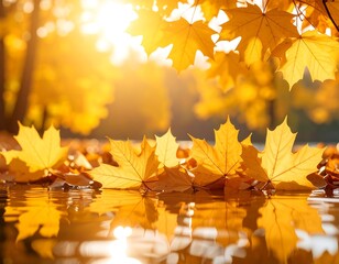 Golden autumn leaves reflecting on water