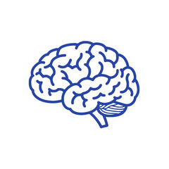 Line art illustration of a human brain in blue outline style, transparent background  