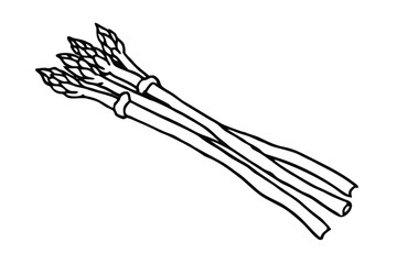 Asparagus Stalks Bundle Clean Flat Illustration