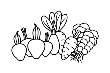 Assorted Root Vegetables Flat Vector
