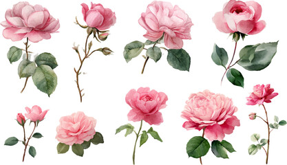 seamless pattern with pink roses © Abu