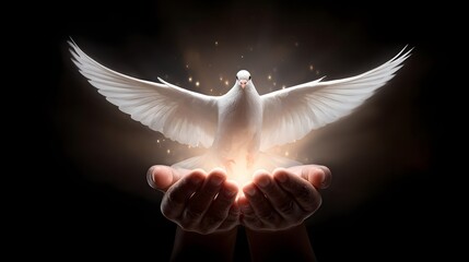 White Dove in Open Hands A Symbol of Peace, Hope and Freedom in Spiritual Dark Background