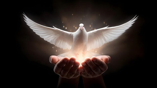 White Dove in Open Hands A Symbol of Peace, Hope and Freedom in Spiritual Dark Background