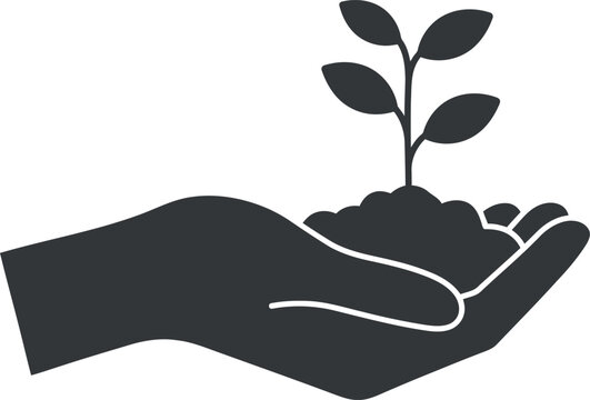 Hand holding sprout symbol of growth and new beginnings