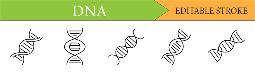 DNA Double Helix Structure Line Icons Set