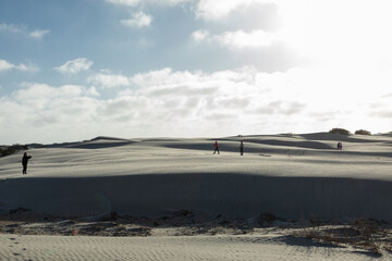 Gray whales swimming near salt lagoon, tourists wandering expansive sand dunes under bright coastal sunlight