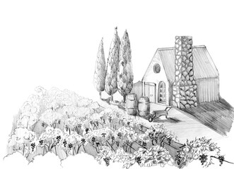 Landscape of a foreigner and a house in the mountains. Hand drawn with a pencil without a background. Graphic drawing. For food, wine packaging and cosmetics