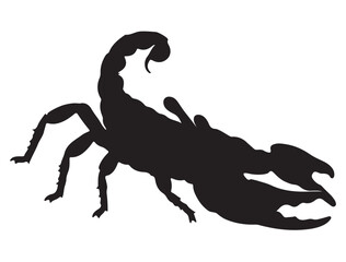SCORPIO SILHOUETTE