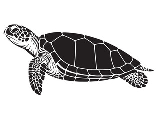SEA TURTLE SILHOUETT