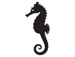 Fototapeta premium SEAHORSE SILHOUETTE
