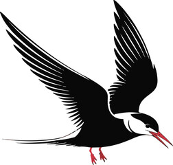 Obraz premium Artistic vector illustration of a graceful black and white bird in mid-flight