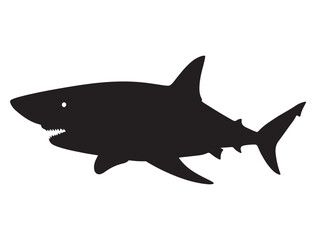 SHARK SILHOUETT