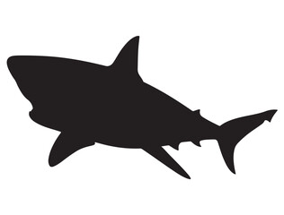 SHARK SILHOUETT