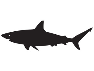 Obraz premium SHARK SILHOUETT