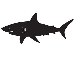 Fototapeta premium SHARK SILHOUETT