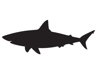 SHARK SILHOUETT