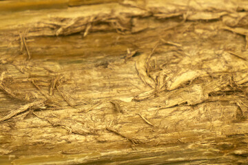 asbestos Mineral Fibers detail close up