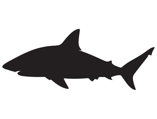 SHARK SILHOUETT