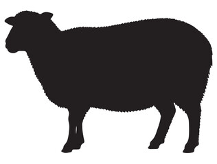 SHEEP SILHOUETTE