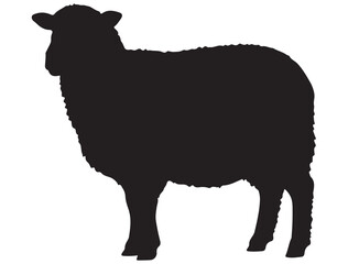 SHEEP SILHOUETTE
