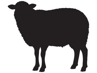 SHEEP SILHOUETTE