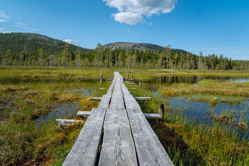 Fototapeta premium Wooden Boardwalk Through a Finnish Marshland with Green Hills Under a Blue Sky