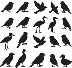 Vector art of black and white bird icons featuring robins cranes ducks and more