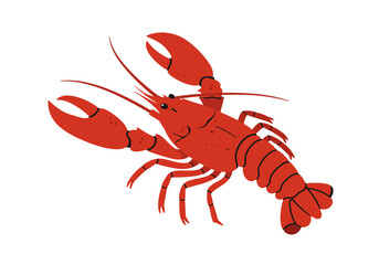 Illustrated Red Lobster with Large Claws and Antennae Flat Design.