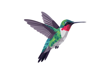 Colorful Hummingbird in Flight with Green Red and Blue Feathers.