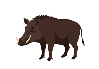 Full View of a Dark Brown Wild Boar.