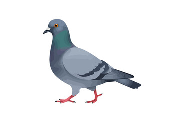 Vector Illustration of a Standing Pigeon with Detailed Feathering and Orange Eyes.