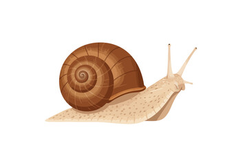 Brown Spiral Shell Garden Snail with Beige Body Detailed Illustration.