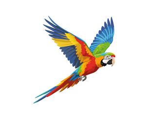 Colorful Macaw Parrot in Flight with Vibrant Feather Display.