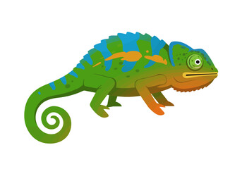 Colorful Cartoon Chameleon with Green Blue and Orange Skin Curled Tail.