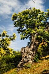 Las Médulas, León, Spain