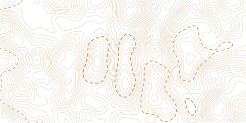 Topographic map lines background. Abstract vector illustration.