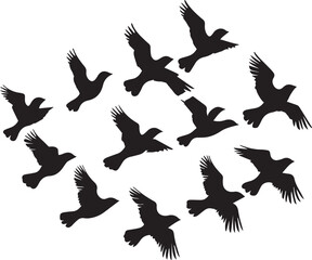 Obraz premium Set of silhouettes of birds flying 