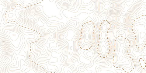 Business concept. Fish Fillet Texture, Salmon fillet texture, fish pattern. paper texture. Topography and geography map grid abstract backdrop.
