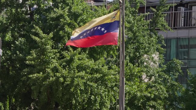Slow motion of Venezuelan flag moving in wind surrounded by green trees and sunlight in international district