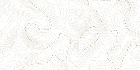 Topographic contour map. similarcartography illustration. Topography and geography map grid abstract backdrop. Business concept. Fish Fillet Texture, Salmon fillet texture, fish pattern. paper texture