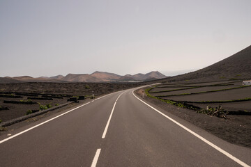 Viñedos tradicionales en La Geria, Lanzarote