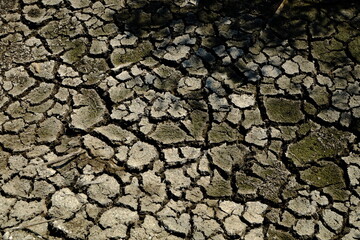dry cracked earth