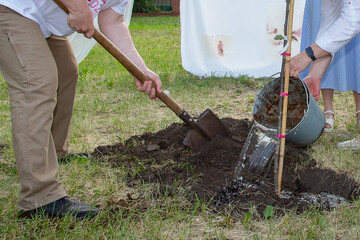City services and volunteers volunteers plant young trees in the park
