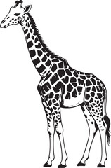 Naklejka premium Detailed Giraffe Illustration: Tall African Animal Portrait in Black and White Vector
