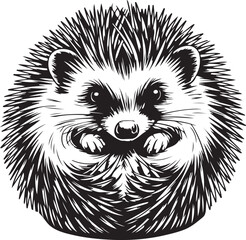 Detailed Hedgehog Illustration: Spiny Mammal Portrait in Black and White Vector Art