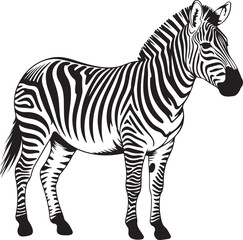 Detailed Zebra Vector Illustration with Striped Pattern and Elegant Pose on Transparent Backdrop